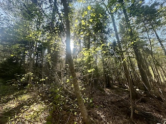 0 Sagamore Farm Rd, Camden, ME 04843