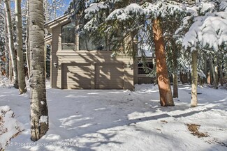 645 Sneaky Ln, Aspen, CO 81611