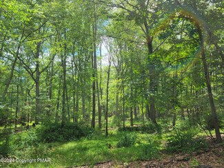 103 Brent Rd, Middle Smithfield Township, PA 18302