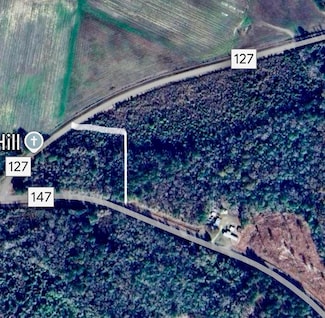 0 County Road 147 & 127 Unit 27578, Jack, AL 36346