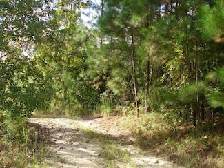 6 Parkers Ferry Rd, Adams Run, SC 29426