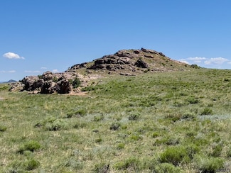 TBD L7 County Road 255, Westcliffe, CO 81252