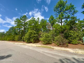 221 P3185, West End, NC 27376
