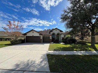 30046 Five Farms Ave, Wesley Chapel, FL 33543