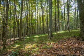 2454 Scott Rd, Kortright, NY 13739