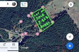 0 Sandy Ln Unit 55687321, Point Blank, TX 77364