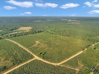 Parcel 6 Carl Rogers Rd, Reynolds, GA 31076