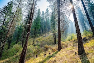 TBD Forestland, Boise, ID 83716