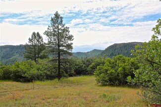 0 Hay Barn Rd Unit 739488, Durango, CO 81301