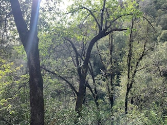 1885 Pennsylvania Gulch Rd, Murphys, CA 95247