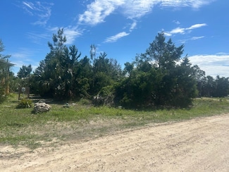 0 Osprey Cir Unit 387579, Keaton Beach, FL 32348