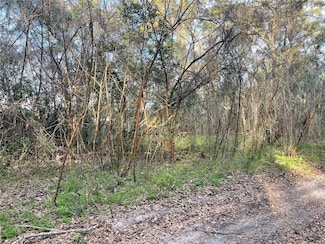 0 NW 17th St Unit 11 MFRS5120837, Ocala, FL 34482