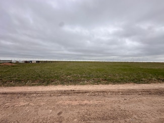 0 Farm To Market Road 722, Dumas, TX 79029