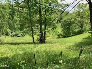 1478 Bellamy Tipton Rd, Gate City, VA 24251