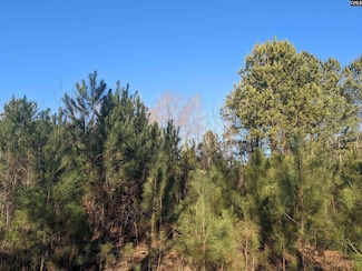 1135 Elkwood Ln, Camden, SC 29020