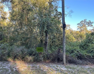 OOO SE 923rd St, Old Town, FL 32680