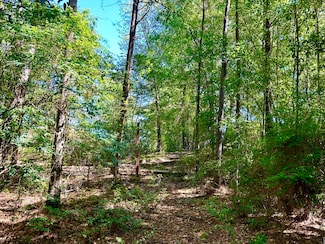 001 J B Horne Rd, Hattiesburg, MS 39401