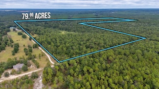 79 Acres Bucking Up Rd, Laurel Hill, FL 32567