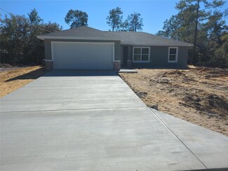 8 Malauka Pass Place, Ocklawaha, FL 32179