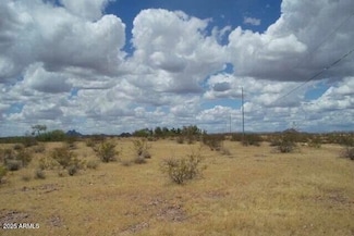 30579 W Redbird Rd Unit 158, Unincorporated County, AZ 85361