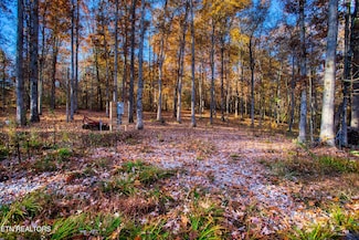 54 E Ridge Rd, Allardt, TN 38504