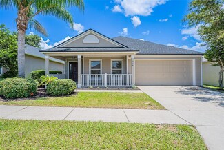 316 Red Kite Dr, Groveland, FL 34736