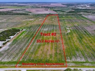 TBD County Rd 1070 S, Kingsville, TX 78363