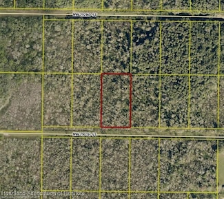 20369 290th St, Okeechobee, FL 34972