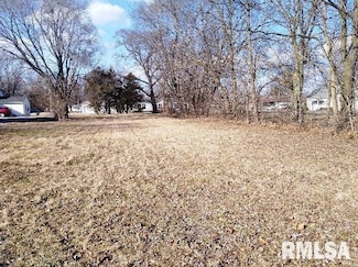 L7 4th St, Girard, IL 62640