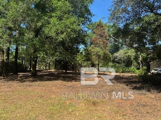 10765 Georgetown Hills Ct Unit 16, Chunchula, AL 36521