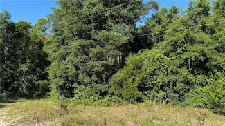 8045 NE 307th Ave, Fort Mc Coy, FL 32134