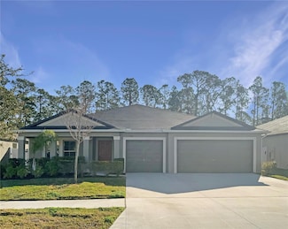 13507 Willow Bluestar Loop, Riverview, FL 33579
