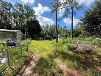 4445 Helena St, Hastings, FL 32145
