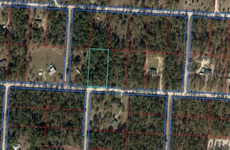 Lot 8 SE 21 Place, Morriston, FL 32668