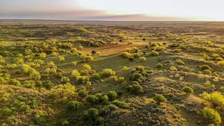 1241 County Road 24, Estelline, TX 79233