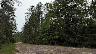4546 Spruce Ln, Brookeland, TX 75931
