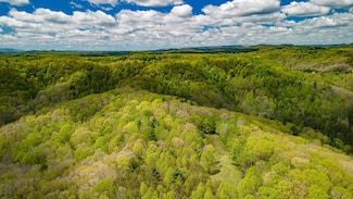 0 Spotwood Rd, Rock, WV 24747