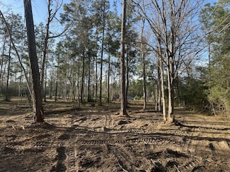 10698 Ruger Rd, Willis, TX 77378