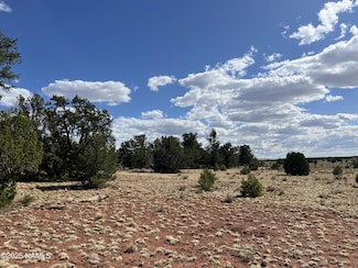 8913 Water Tank - Lot B Cir, Williams, AZ 86046