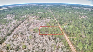 10505 Delgado Ave, Hastings, FL 32145