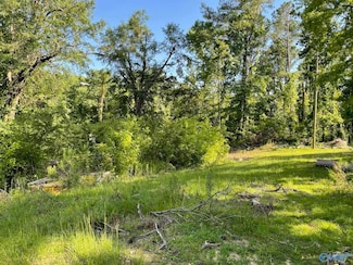 2881 Robinson Dr, Birmingham, AL 35211