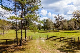 18601 NW 160th Ave, Williston, FL 32696