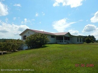 428 Coalbed Rd, Carbon Hill, AL 35549