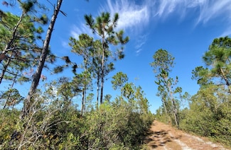 0 County Line Rd Unit 20907517, Lee, FL 32059