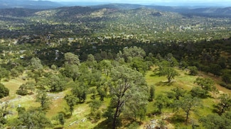1392 Lilley Mountain Dr, Yosemite Lakes, CA 93614