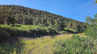 TBD Ward Creek Rd, Cedaredge, CO 81413