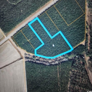 TBD SE Highway 45, Loris, SC 29569