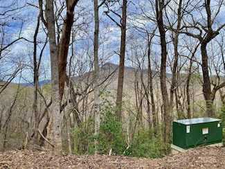 0 Rumbling Bald Rd Unit 28 CAR4246158, Lake Lure, NC 28746