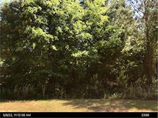 38 Harvey Cir, Ellaville, GA 31806