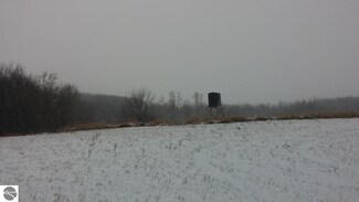 TBD S Saint Johns St, Ithaca, MI 48847
